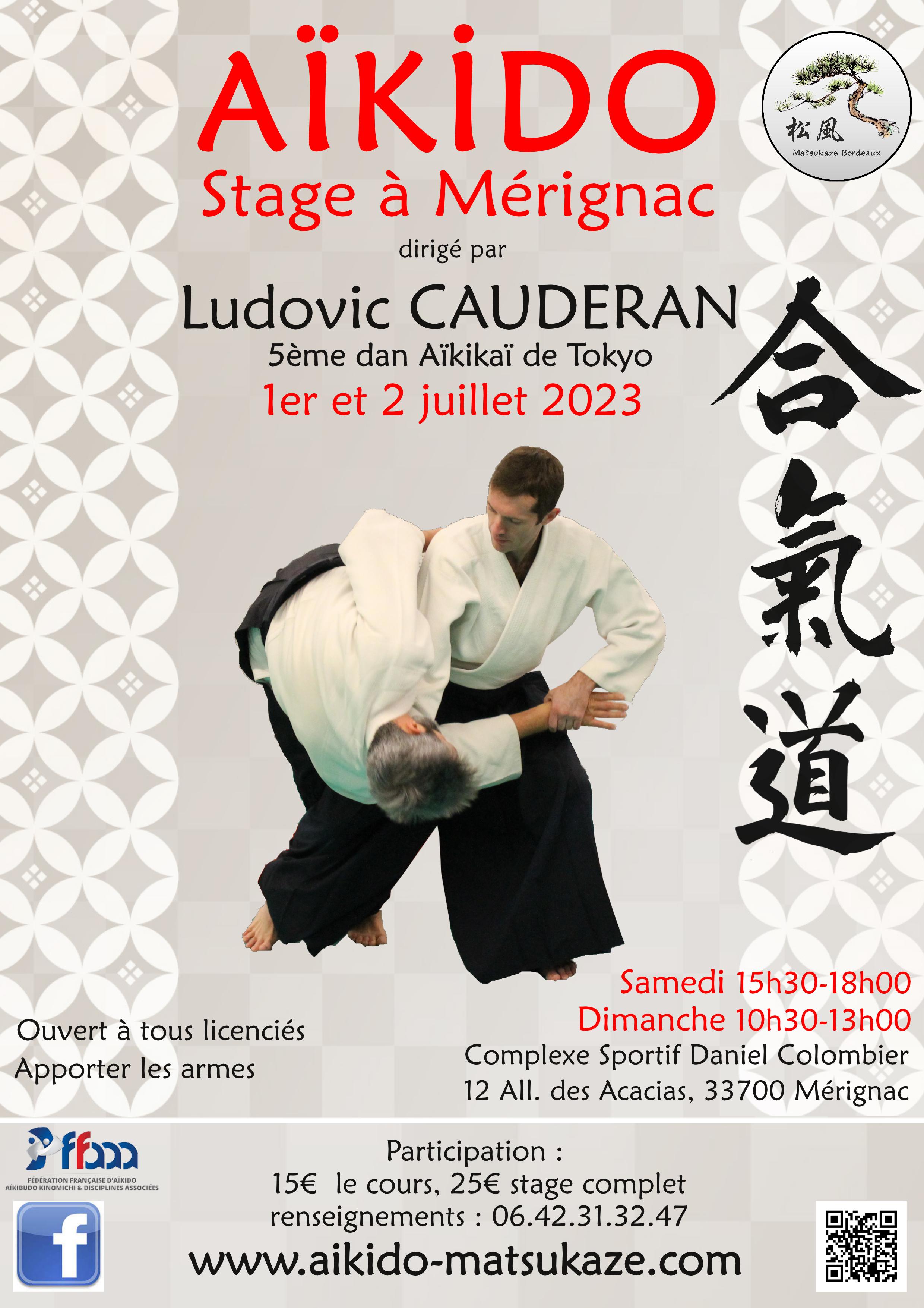 Affiche du Stage d'Aïkido à Mérignac animé par Ludovic Cauderan du samedi 1 juillet 2023 au dimanche 2 juillet 2023