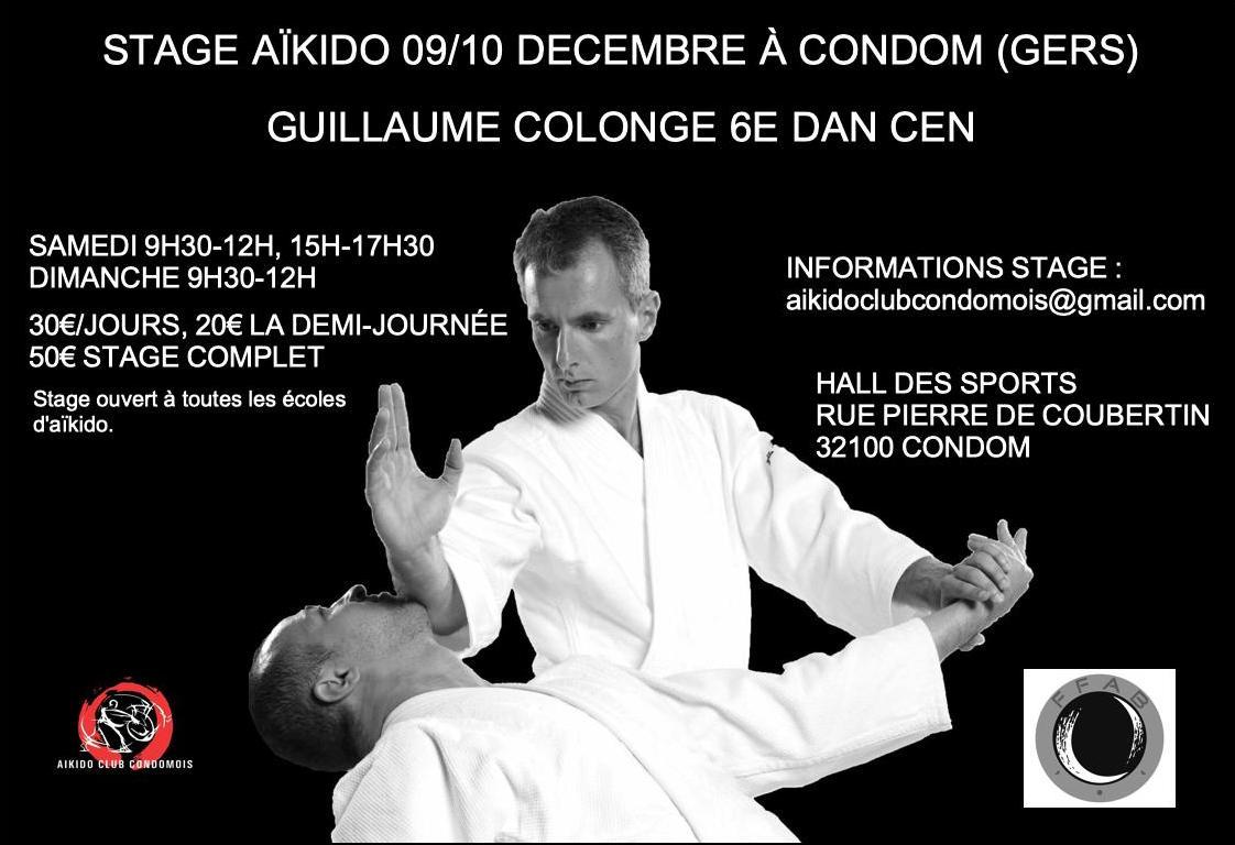 Affiche du Stage d'Aïkido à Condom animé par Guillaume Colonge du samedi 9 décembre 2023 au dimanche 10 décembre 2023