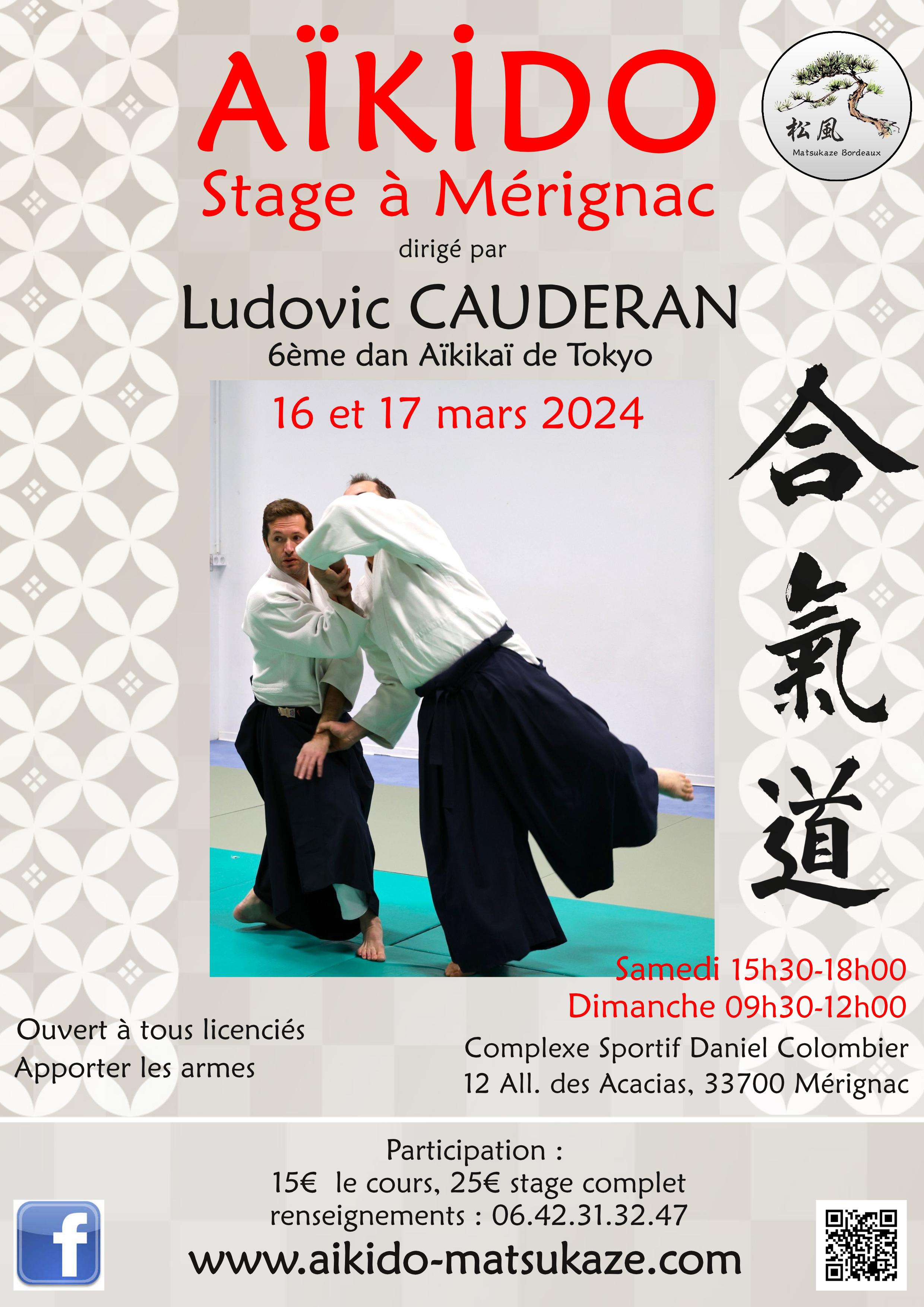 Affiche du Stage d'Aïkido à Mérignac animé par Ludovic Cauderan du samedi 16 mars 2024 au dimanche 17 mars 2024