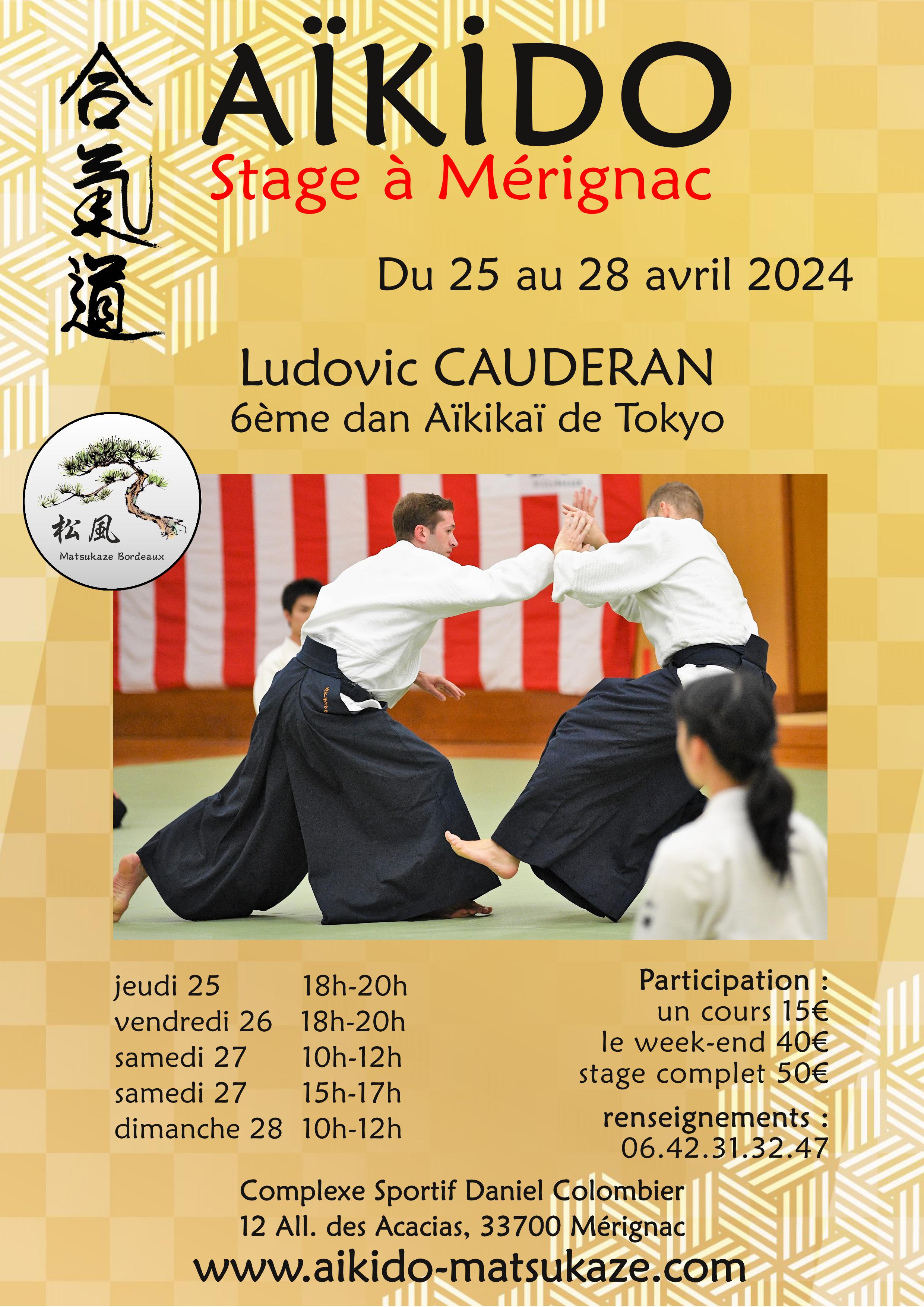 Affiche du Stage d'Aïkido à Mérignac animé par Ludovic Cauderan du jeudi 25 avril 2024 au dimanche 28 avril 2024