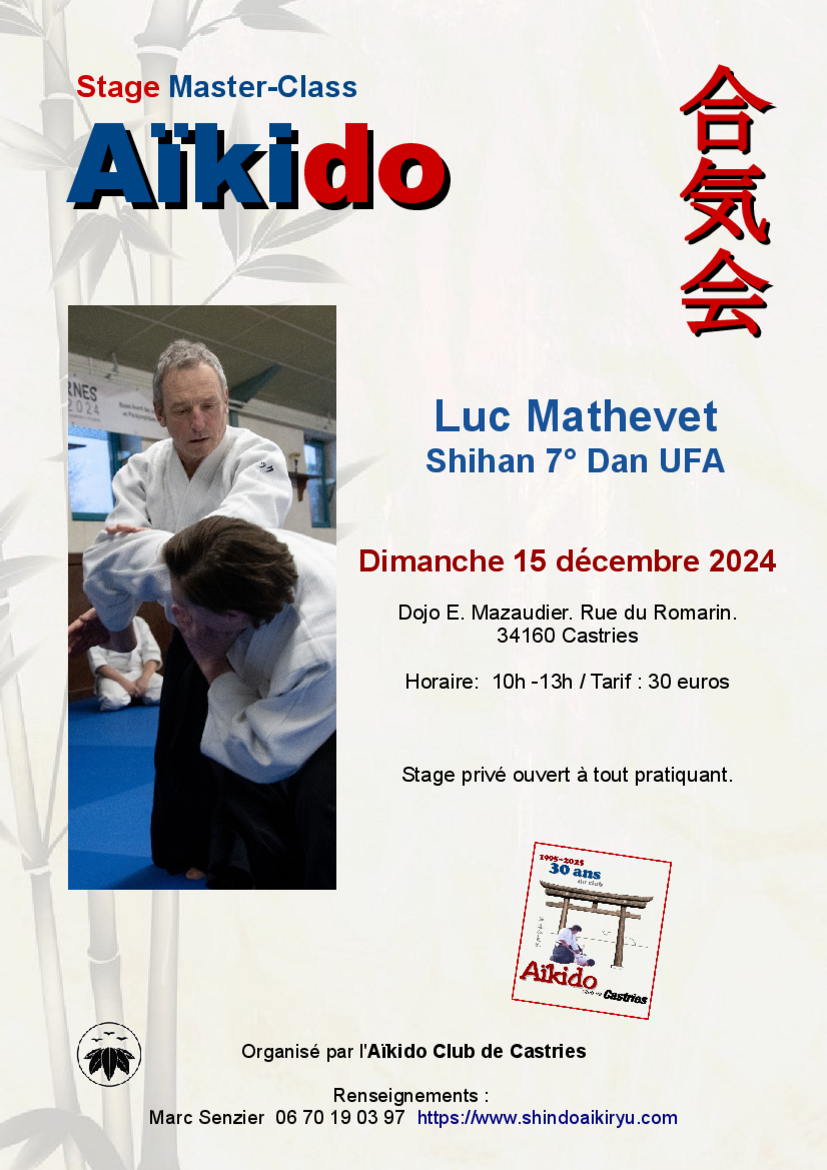 Affiche du Stage d'Aïkido à Castries animé par Luc Mathevet le dimanche 15 décembre 2024