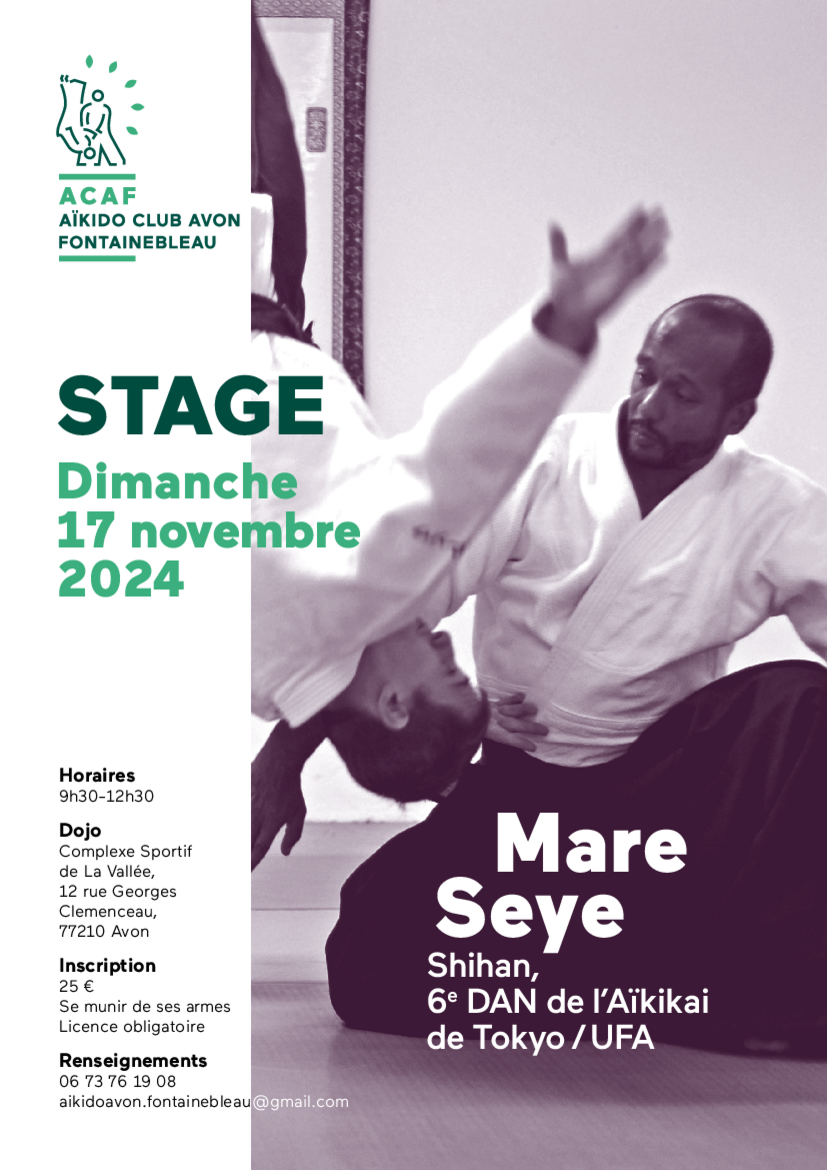 Affiche du Stage d'Aïkido à Avon animé par Mare Seye le dimanche 17 novembre 2024