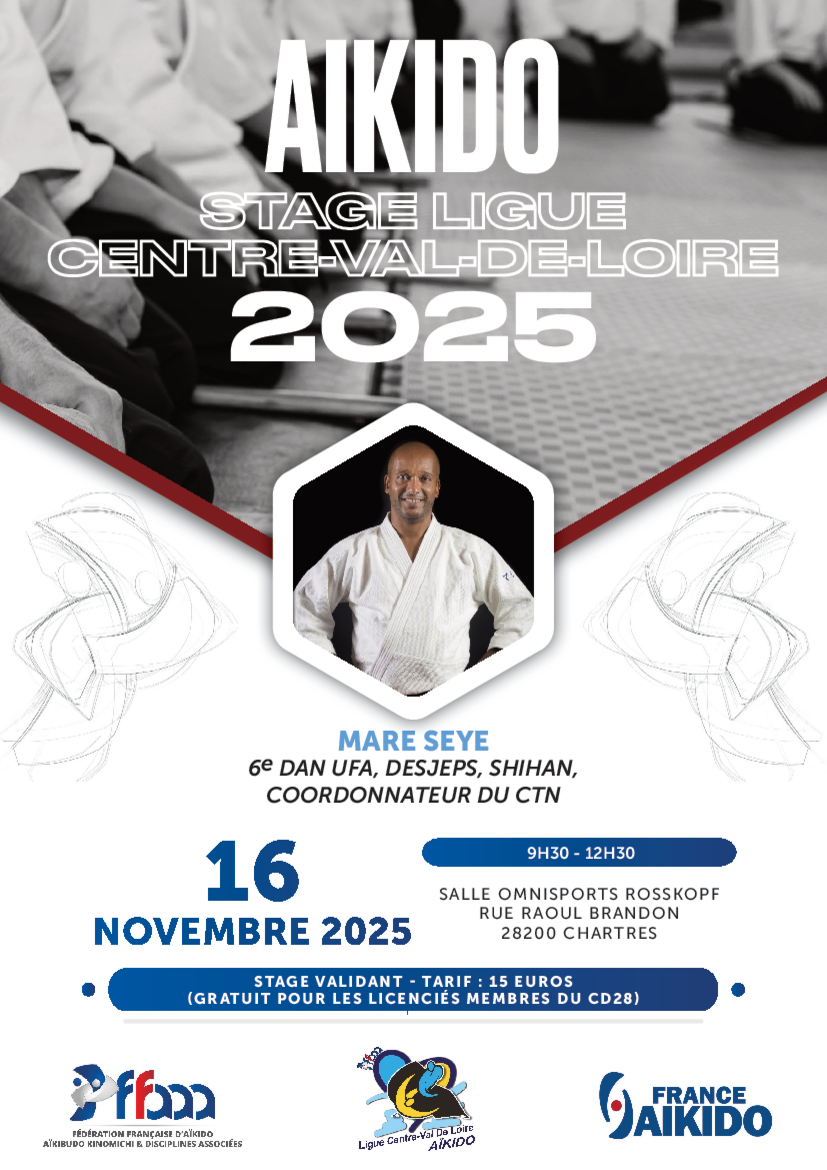 Affiche du Stage d'Aïkido à Chartres animé par Mare Seye le dimanche 16 novembre 2025