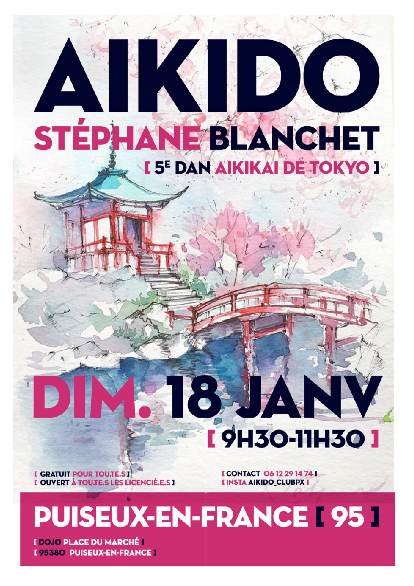 Affiche du Stage d'Aïkido à Puiseux-en-France animé par Stéphane Blanchet le dimanche 18 janvier 2026