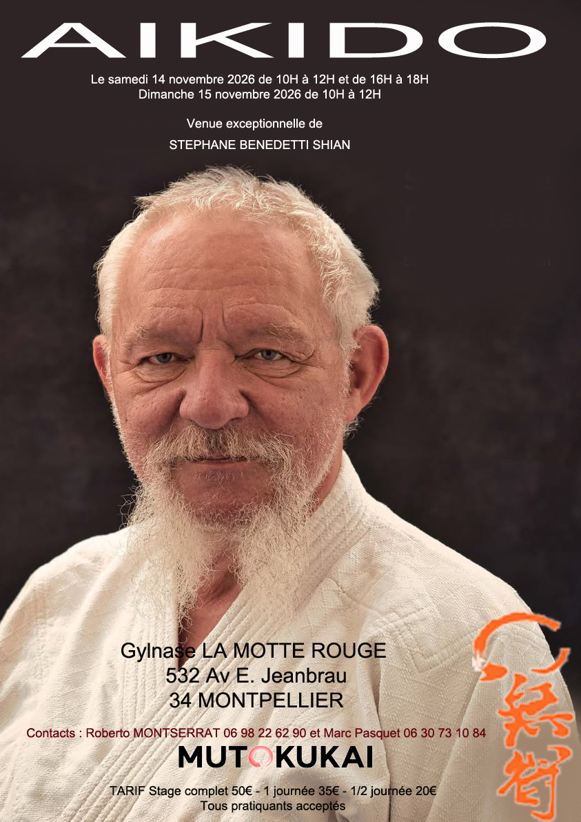 Stage d'Aïkido à Montpellier animé par Stéphane Benedetti du samedi 14 novembre 2026 au dimanche 15 novembre 2026 — fotografie 2 pe 2